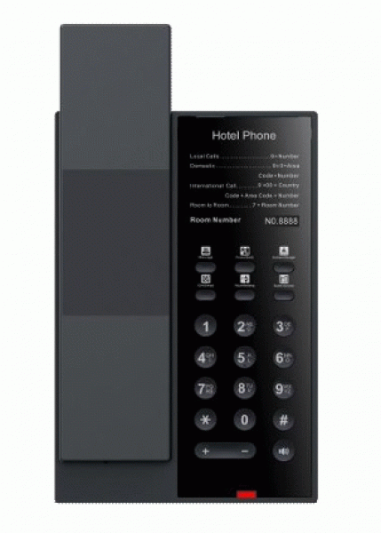 Fanvil H602W