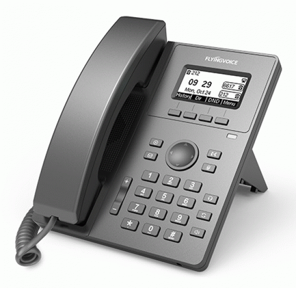 Flyingvoice P10U
