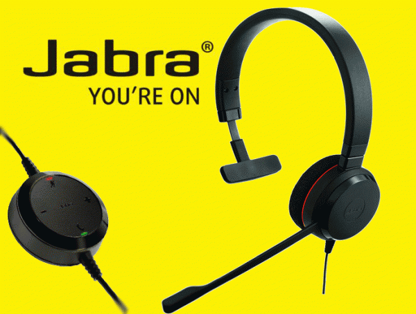 Jabra EVOLVE 20 MS Mono USB-A(4993-823-109) 